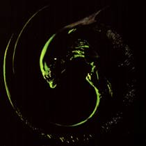 [Alien Design Logo]